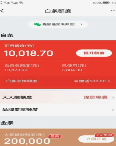 2025白条临时额度