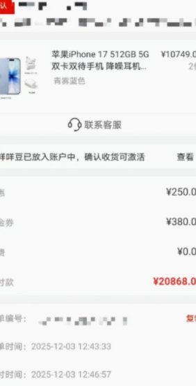 2025白条临时额度：信用灵活新机遇