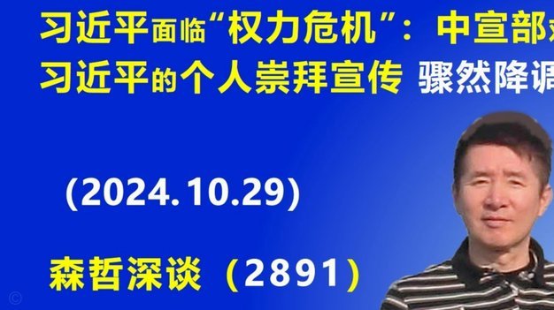 2025年白条临时额度新体验
