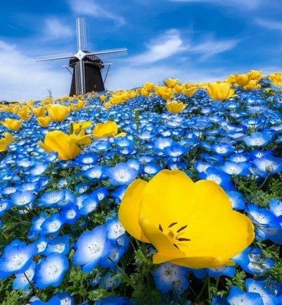 2025白条临时额度