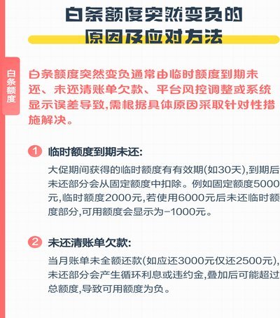 2025白条临时额度