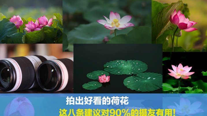 携程网拿去花怎么用不了