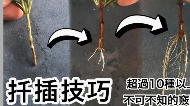 携程“拿去花”怎么关？一步到位！