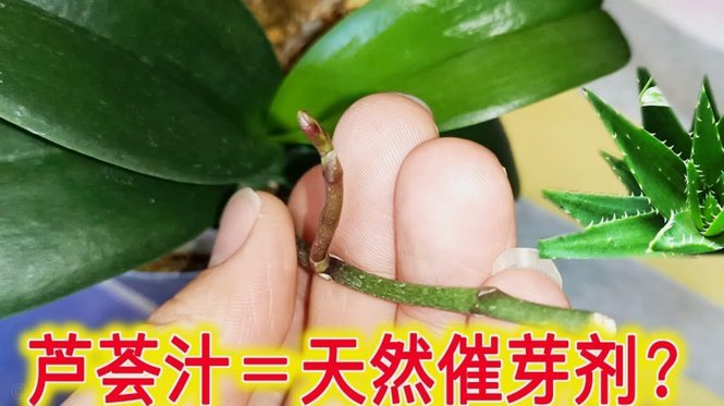 拿去花套现风险大吗