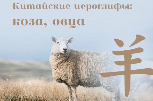 羊小咩贷款：便捷借贷新选择