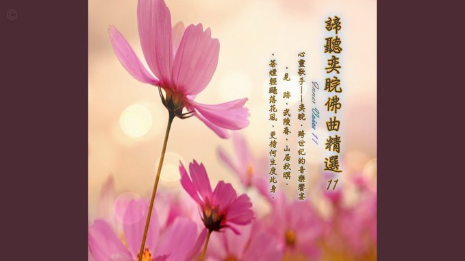 花呗逾期怎么办？这些方法帮你避免麻烦