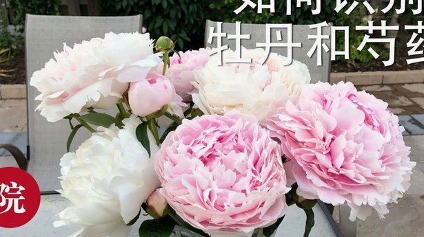 花呗合法合规吗揭秘其运营真相