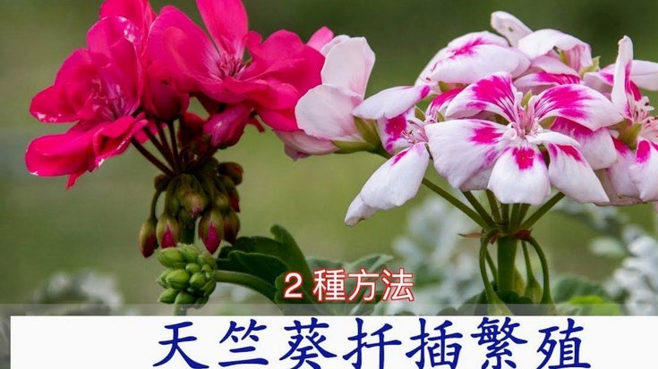 花呗套现违法吗？