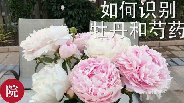 花呗使用平台 套现违法吗
