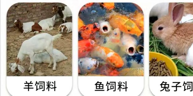 高效回收羊小咩便荔卡包额度技巧