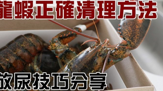 分付套现：6招玩转之道