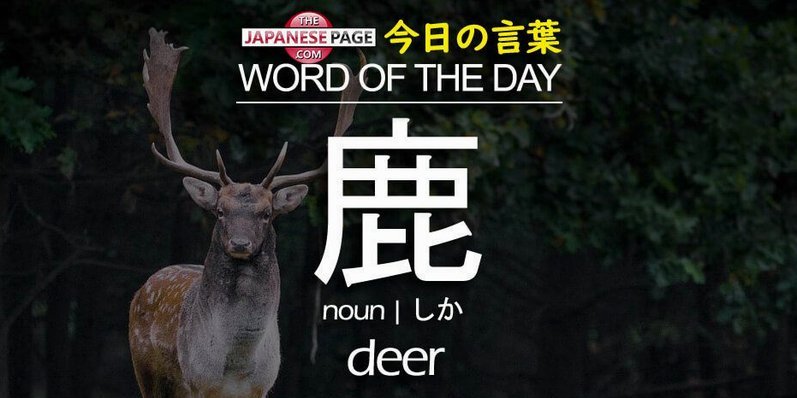 鹿优选提现流程详解