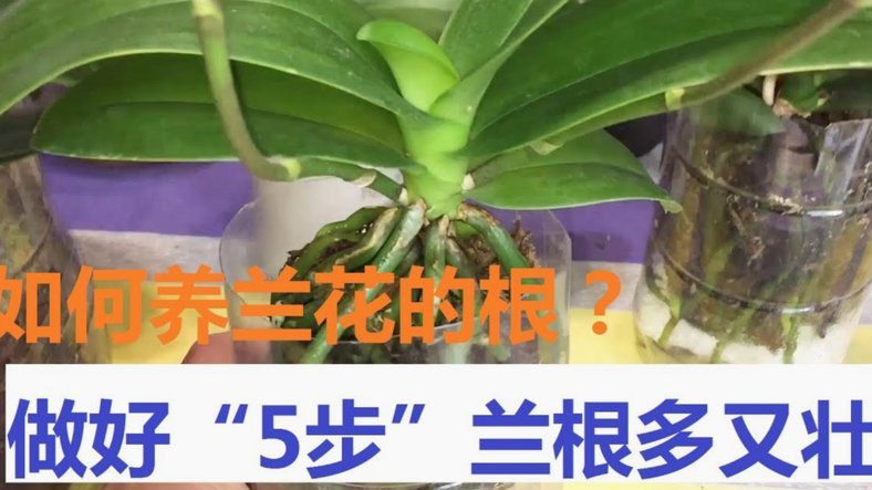 花呗怎么套现才安全可靠