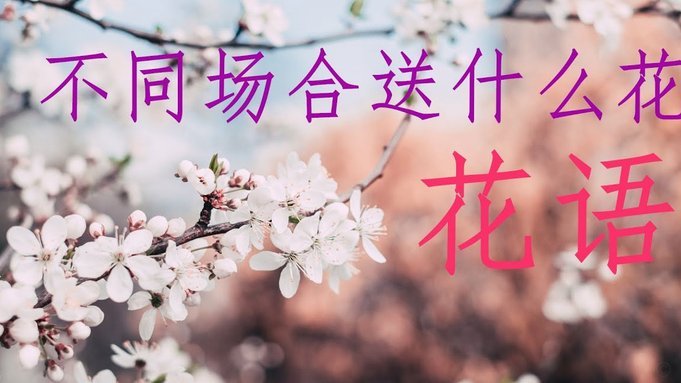 花呗：透支时代的困境与突围