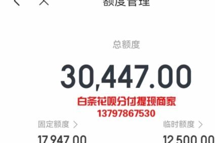 如何激活和使用白条额度？超详细指南