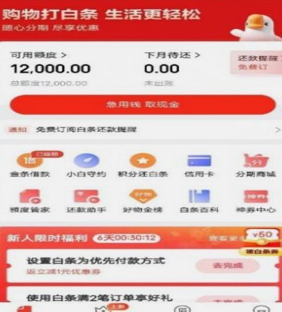 白条额度怎么借出来