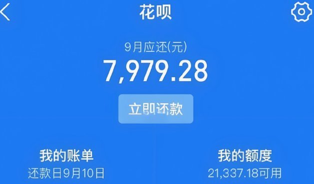 在线套花呗软件