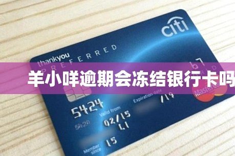 羊小咩能借出来款不
