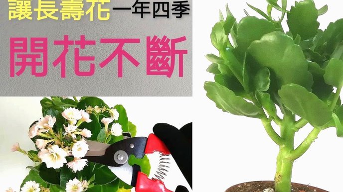 花呗出现异常怎么办