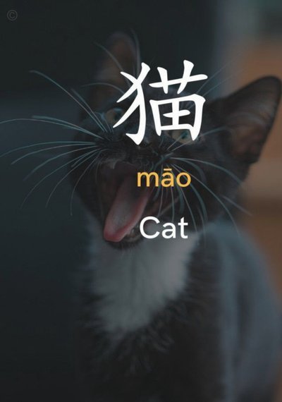 花呗天猫额度怎么套出来啊