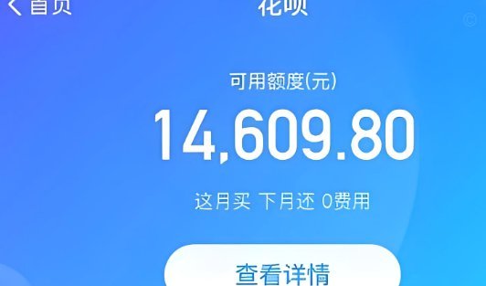 套花呗的码
