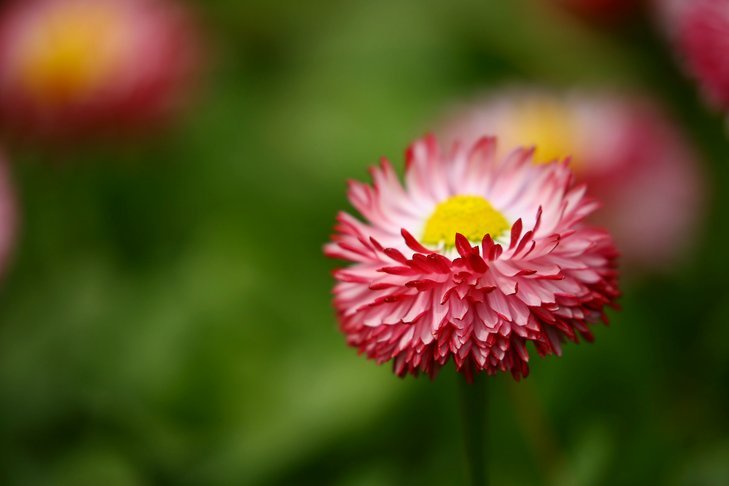 花呗套现避雷指南：如何安全和理性进行资金周转？