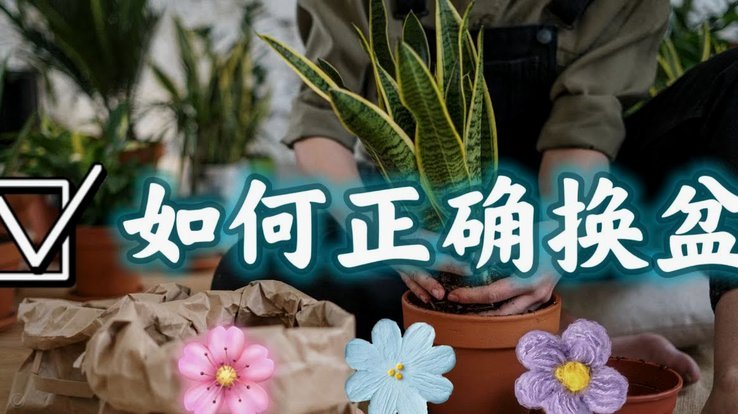 如何用花呗收款给个人用户