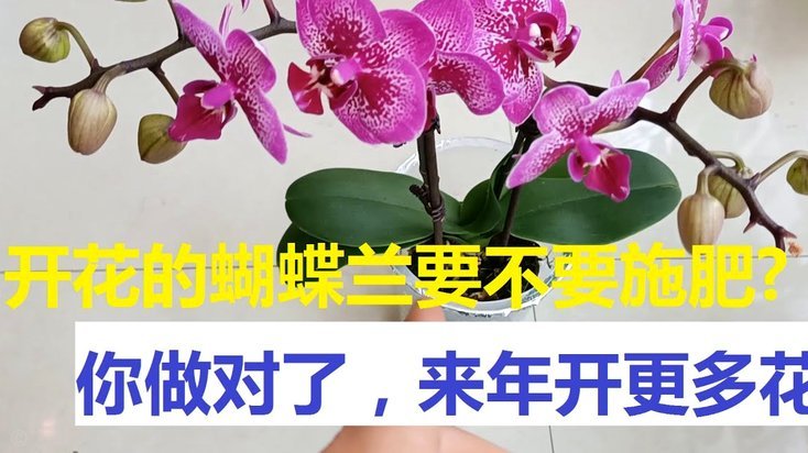 花呗套出来会被惩罚吗
