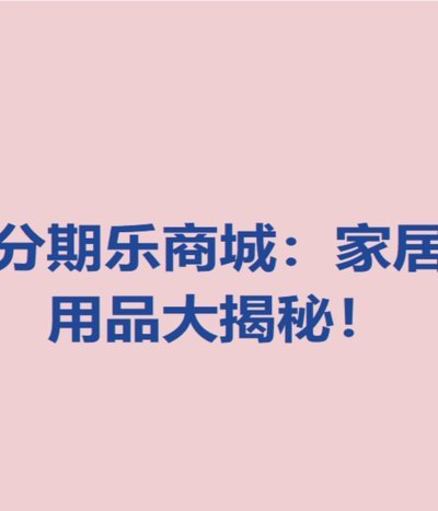 2020年分期乐公司的目前现状