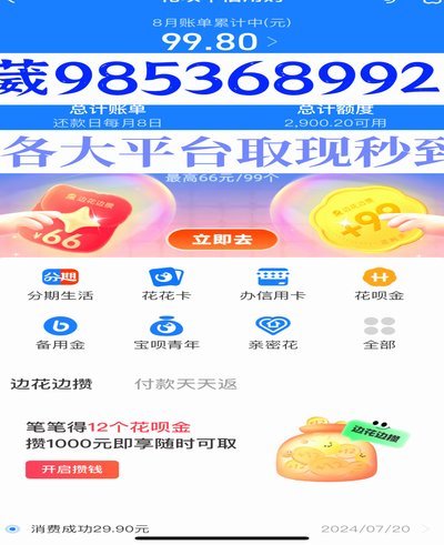 羊小咩怎么出额度