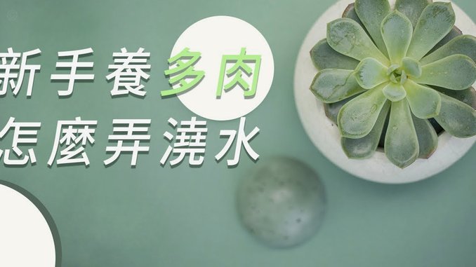 16300元如何“担现”？