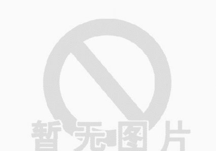 白条怎么提现商家bthb56