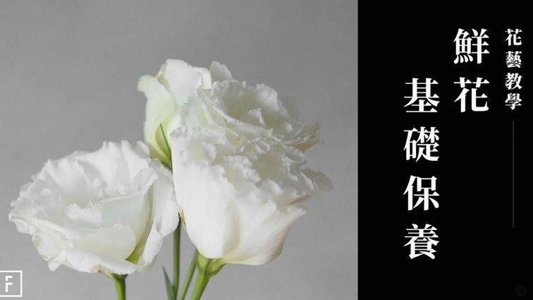 花呗使用平台 平台会知道吗