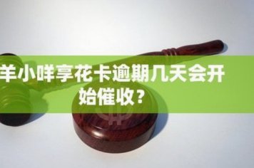 羊小咩借款骗局：2万变4万的陷阱真相
