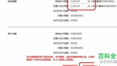 单笔金额超限怎么解除
