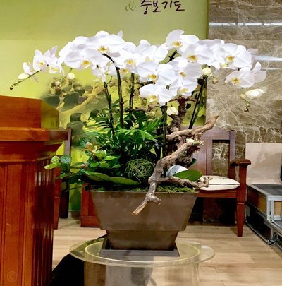 透视lh安诚小铺等花呗提现商家的运营模式与风险