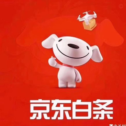 白条平台电话人工服务现状与挑战