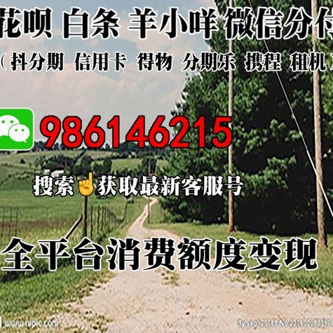 羊小咩的消费额度怎么提用