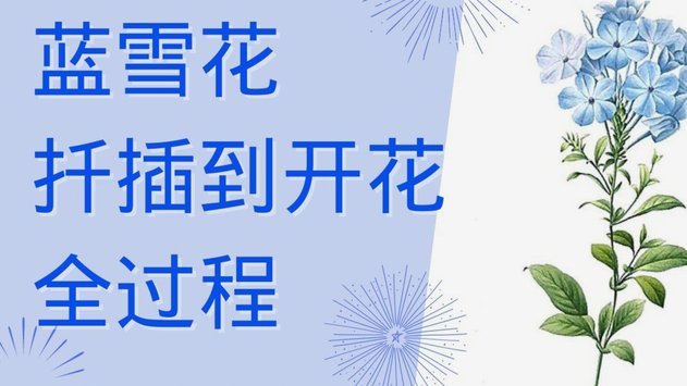 信用达标才能秒到账