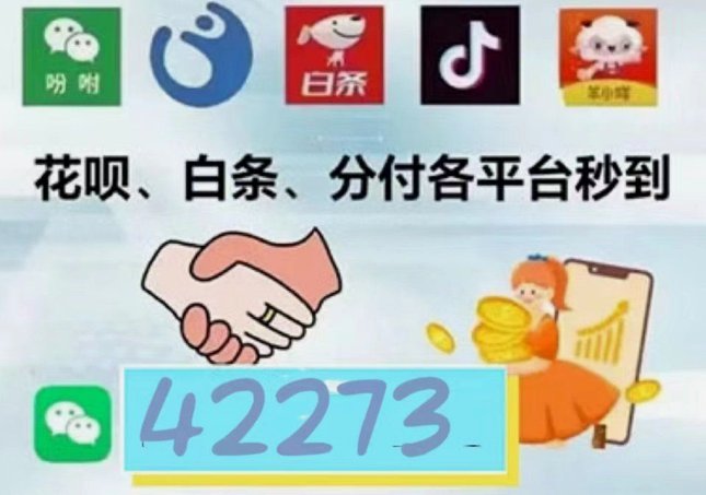 羊小咩临时额度怎么套出来