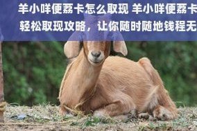 便荔卡包取现额度怎么使用步骤